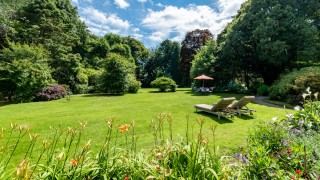 View of the garden from the house